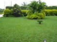 /album/galeria-de-fotos-pagina-inicial/grama-batatais-1-jpg/