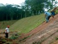 /album/galeria-de-fotos-pagina-inicial/gramas-contencao-jpg/